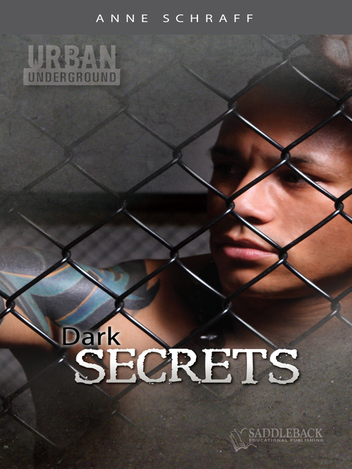 Title details for Dark Secrets by Anne Schraff - Wait list